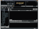Winamp Pro V5.58.2933(winamp播放器)简体中文标准版