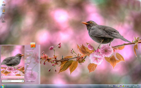 鸟语花香夏日Win7主题 