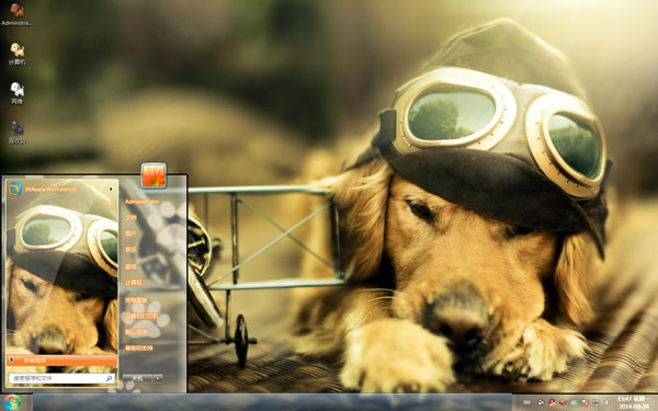 小飞行员金毛犬win7主题 
