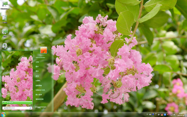 紫薇花百日红win7主题 