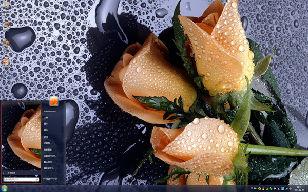  友情黄玫瑰Win7主题