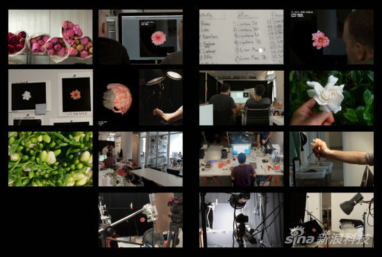 Apple Watch揭秘：拍一朵花用了285小时 