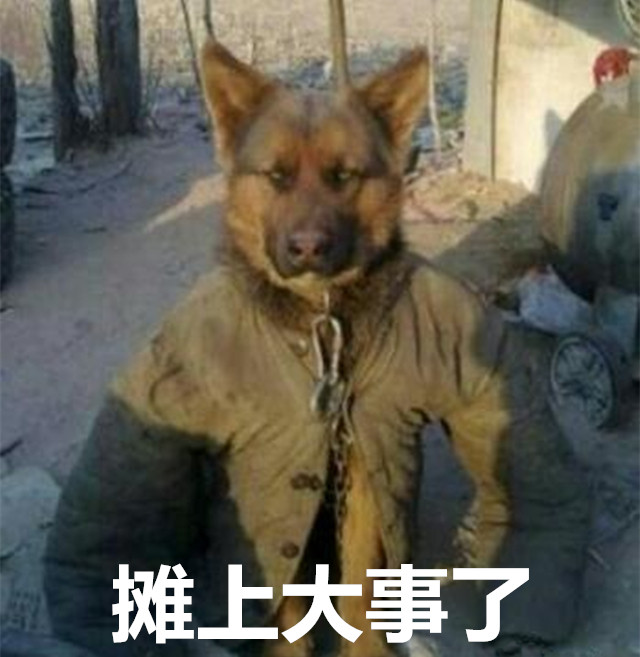 科技乱谈琴：苹果转行做黄牛 Xbox解锁 