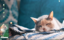 高清小萌猫桌面win7主题