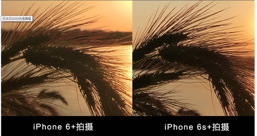 iPhone 6s/6s+首发评测 苹果史上最强拍照手机