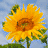 Quick HDR(Quick HDR官方下载)V1.0.0.1官方版