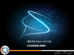 雨林木风YLMF GHOST WIN8 32位经典安全版V2015.08